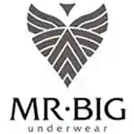  Mr. Big Underwear Kuponok